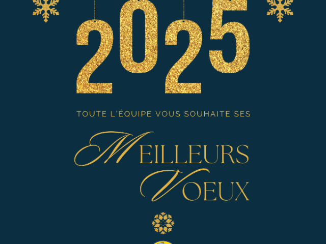 ✨ Bonne et heureuse année 2025 de la part de toute l’équipe A+ Glass ! ✨